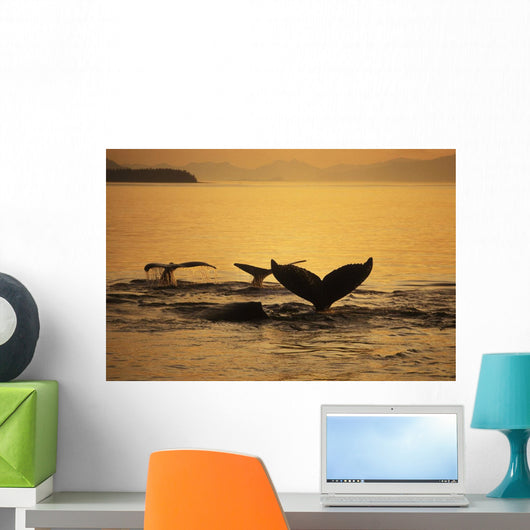 Composite Setting Sun Illuminates Wall Decal 1