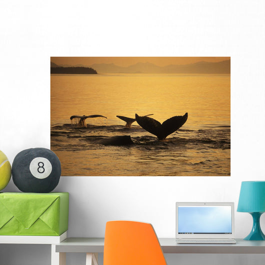 Composite Setting Sun Illuminates Wall Decal 1