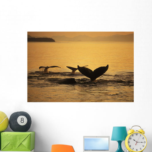 Composite Setting Sun Illuminates Wall Decal 1