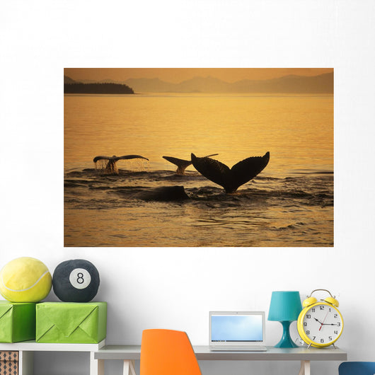 Composite Setting Sun Illuminates Wall Decal 1