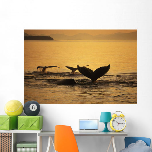 Composite Setting Sun Illuminates Wall Decal 1