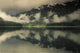 Windfall Harbor Offers Quiet Wall Decal