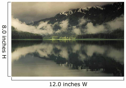 Windfall Harbor Offers Quiet Wall Decal