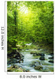 Moutain Stream