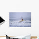 Man Kayak Surfing Winter Wall Decal Design 1
