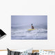 Man Kayak Surfing Winter Wall Decal Design 1