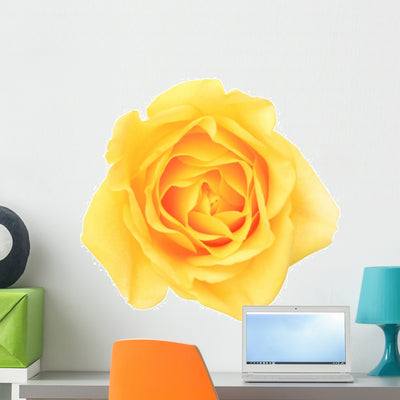 Yellow Rose Wall Decal shown on a wall
