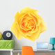 yellow rose Wall Decal