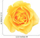 yellow rose Wall Decal