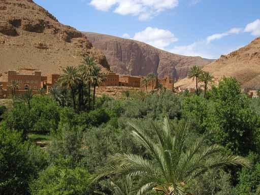 Maroc Oasis Dans Les Wall Decal