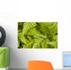 Up Ferns Growing Forest Wall Decal