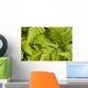 Up Ferns Growing Forest Wall Decal