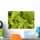 Up Ferns Growing Forest Wall Decal