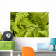 Up Ferns Growing Forest Wall Decal
