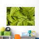 Up Ferns Growing Forest Wall Decal
