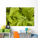 Up Ferns Growing Forest Wall Decal
