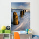 Surf Rushing around Old Wall Decal