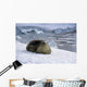 Leopard Seal Laying Ice Wall Decal