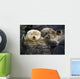 Captive Two Sea Otters Wall Decal