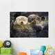 Captive Two Sea Otters Wall Decal