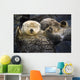 Captive Two Sea Otters Wall Decal