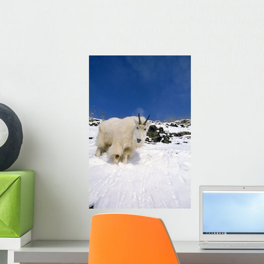 Mountain Goat Billy High Wall Decal
