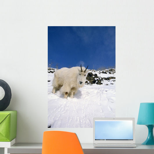 Mountain Goat Billy High Wall Decal
