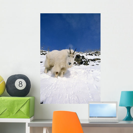 Mountain Goat Billy High Wall Decal