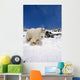 Mountain Goat Billy High Wall Decal