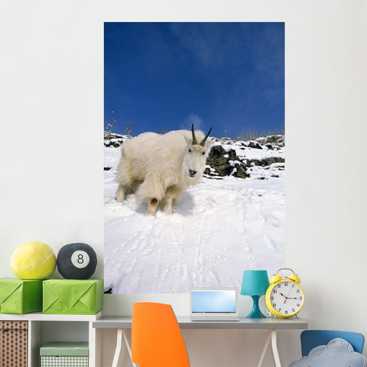 Mountain Goat Billy High Wall Decal