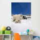 Mountain Goat Billy High Wall Decal