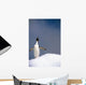 Portrait Single Adelie Penguin Wall Decal