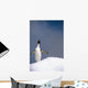 Portrait Single Adelie Penguin Wall Decal