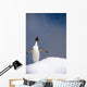 Portrait Single Adelie Penguin Wall Decal