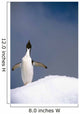 Portrait Single Adelie Penguin Wall Decal
