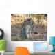 Young Leopard Profile Wall Mural