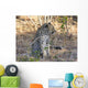 Young Leopard Profile Wall Mural