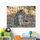 Young Leopard Profile Wall Mural