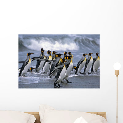 Group King Penguins Walking Wall Decal shown on a wall