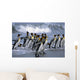 Group King Penguins Walking Wall Decal