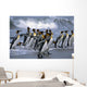 Group King Penguins Walking Wall Decal