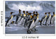 Group King Penguins Walking Wall Decal