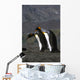 Pair King Penguins Preening Wall Decal