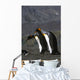 Pair King Penguins Preening Wall Decal