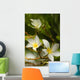 Frangipani Flowers Wall Decal