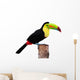 Keel Billed Toucan From Central America Wall Decal