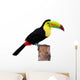 Keel Billed Toucan From Central America Wall Decal