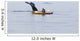 Humpback Whale Surfaces near Wall Decal Design 2
