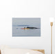 Humpback Whale Surfaces near Wall Decal Design 1