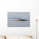 Humpback Whale Surfaces near Wall Decal Design 1